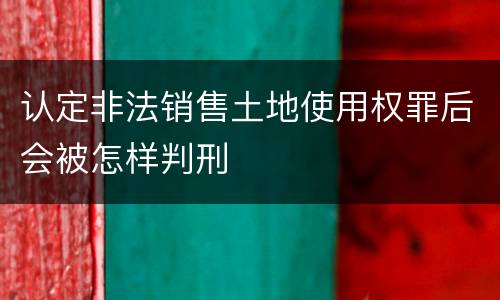 认定非法销售土地使用权罪后会被怎样判刑