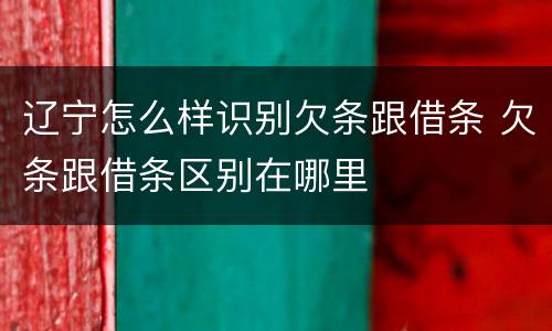 辽宁怎么样识别欠条跟借条 欠条跟借条区别在哪里