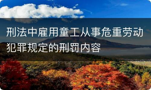 刑法中雇用童工从事危重劳动犯罪规定的刑罚内容