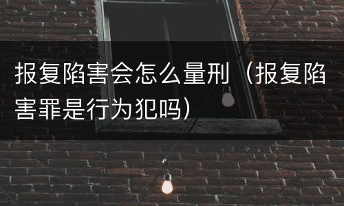 报复陷害会怎么量刑（报复陷害罪是行为犯吗）
