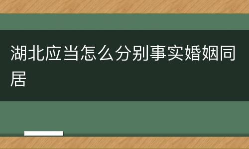 湖北应当怎么分别事实婚姻同居