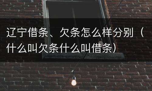 辽宁借条、欠条怎么样分别（什么叫欠条什么叫借条）