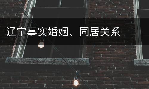 辽宁事实婚姻、同居关系