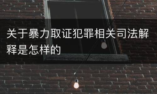关于暴力取证犯罪相关司法解释是怎样的