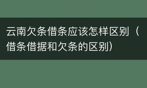 云南欠条借条应该怎样区别（借条借据和欠条的区别）