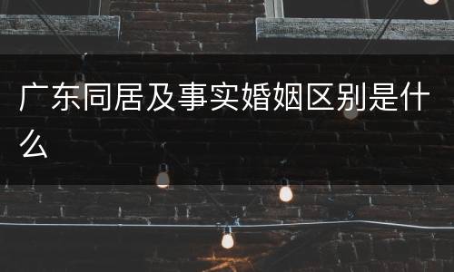 广东同居及事实婚姻区别是什么