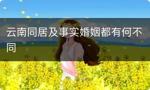 云南同居及事实婚姻都有何不同