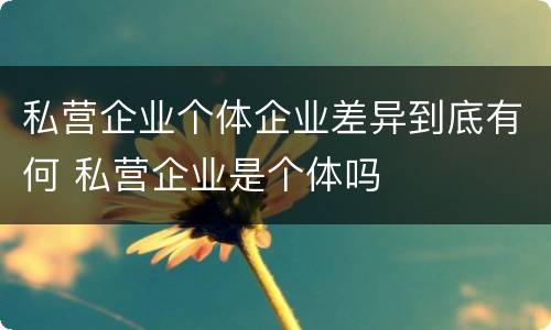 私营企业个体企业差异到底有何 私营企业是个体吗