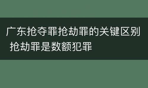 广东抢夺罪抢劫罪的关键区别 抢劫罪是数额犯罪