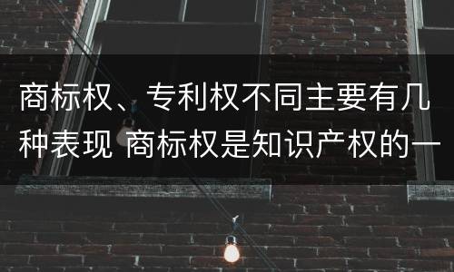 商标权、专利权不同主要有几种表现 商标权是知识产权的一种吗