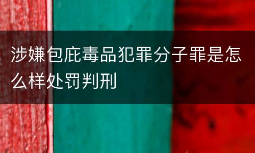 涉嫌包庇毒品犯罪分子罪是怎么样处罚判刑