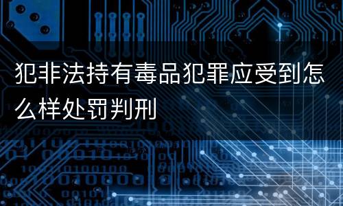 犯非法持有毒品犯罪应受到怎么样处罚判刑