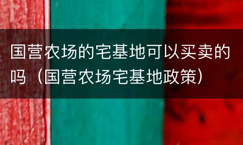 国营农场的宅基地可以买卖的吗（国营农场宅基地政策）