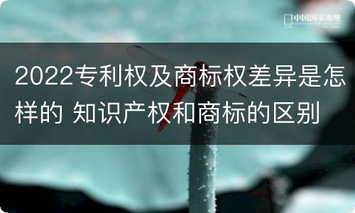 2022专利权及商标权差异是怎样的 知识产权和商标的区别