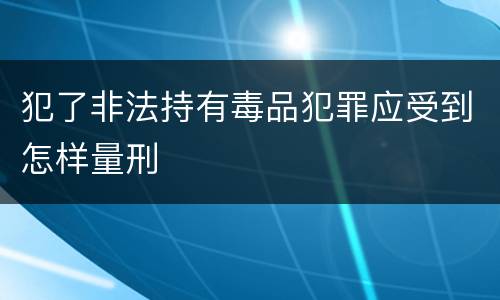 犯了非法持有毒品犯罪应受到怎样量刑
