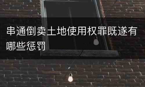 串通倒卖土地使用权罪既遂有哪些惩罚