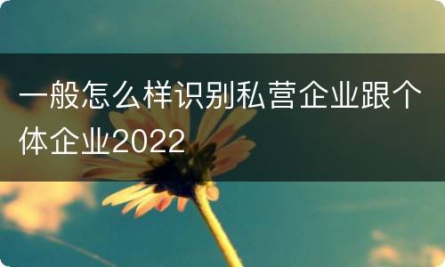一般怎么样识别私营企业跟个体企业2022