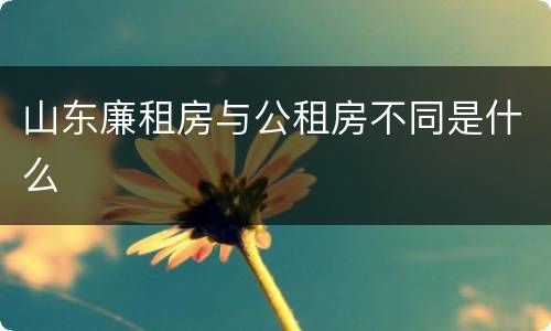 山东廉租房与公租房不同是什么