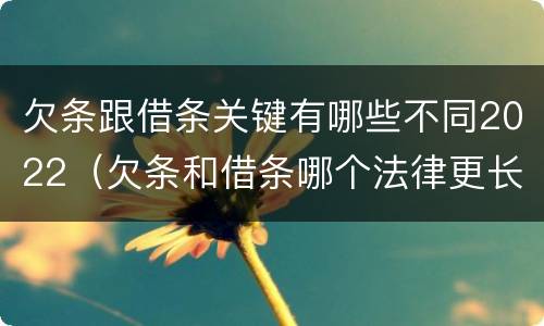 欠条跟借条关键有哪些不同2022（欠条和借条哪个法律更长）