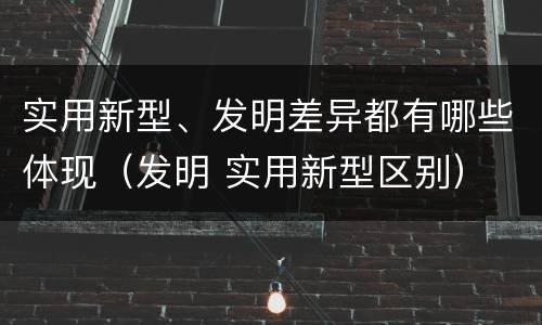实用新型、发明差异都有哪些体现（发明 实用新型区别）