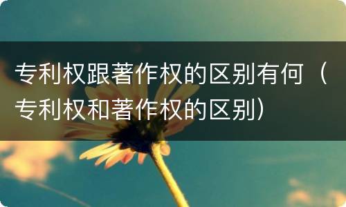 专利权跟著作权的区别有何（专利权和著作权的区别）