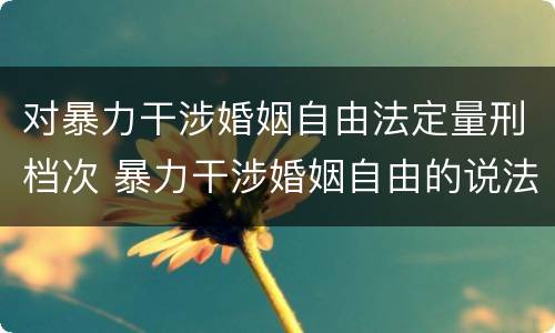 对暴力干涉婚姻自由法定量刑档次 暴力干涉婚姻自由的说法中错误的是什么
