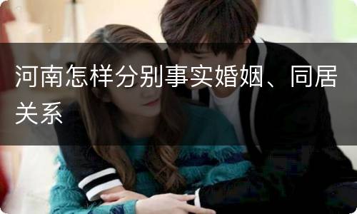 河南怎样分别事实婚姻、同居关系