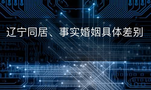 辽宁同居、事实婚姻具体差别