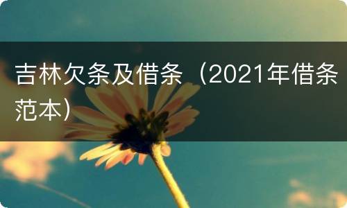吉林欠条及借条（2021年借条范本）