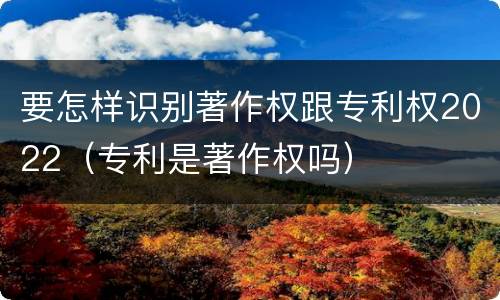 要怎样识别著作权跟专利权2022（专利是著作权吗）
