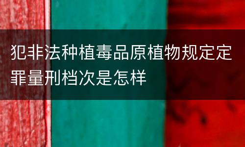 犯非法种植毒品原植物规定定罪量刑档次是怎样