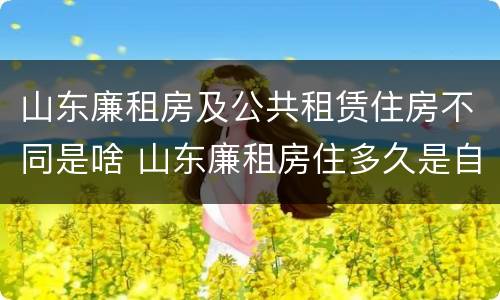 山东廉租房及公共租赁住房不同是啥 山东廉租房住多久是自己的