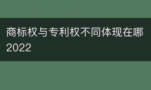 商标权与专利权不同体现在哪2022