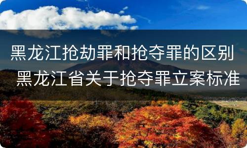 黑龙江抢劫罪和抢夺罪的区别 黑龙江省关于抢夺罪立案标准