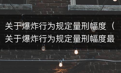 关于爆炸行为规定量刑幅度（关于爆炸行为规定量刑幅度最大的是）