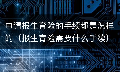 申请报生育险的手续都是怎样的（报生育险需要什么手续）