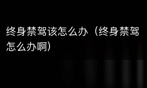 终身禁驾该怎么办（终身禁驾怎么办啊）