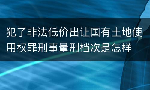 犯了非法低价出让国有土地使用权罪刑事量刑档次是怎样