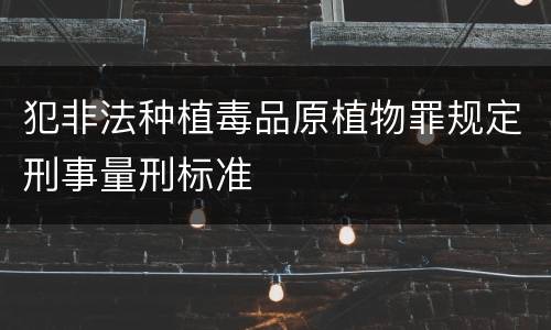 犯非法种植毒品原植物罪规定刑事量刑标准