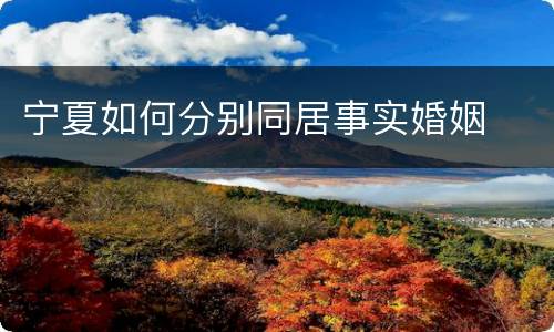 宁夏如何分别同居事实婚姻