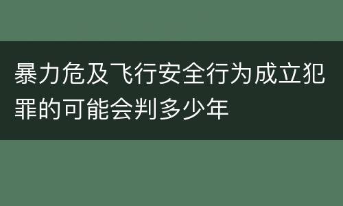 暴力危及飞行安全行为成立犯罪的可能会判多少年