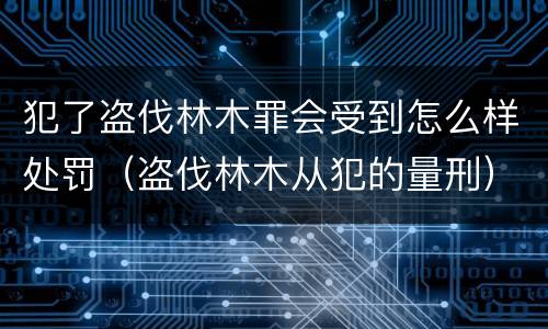 犯了盗伐林木罪会受到怎么样处罚（盗伐林木从犯的量刑）