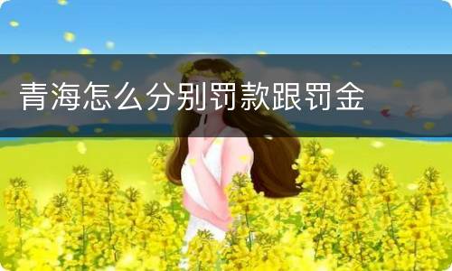 青海怎么分别罚款跟罚金