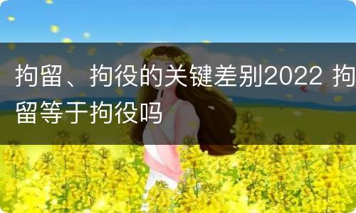 拘留、拘役的关键差别2022 拘留等于拘役吗