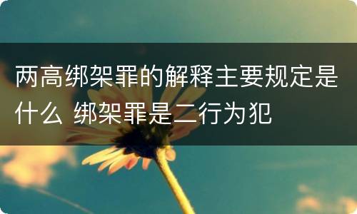 两高绑架罪的解释主要规定是什么 绑架罪是二行为犯