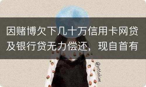 因赌博欠下几十万信用卡网贷及银行贷无力偿还，现自首有什么后果