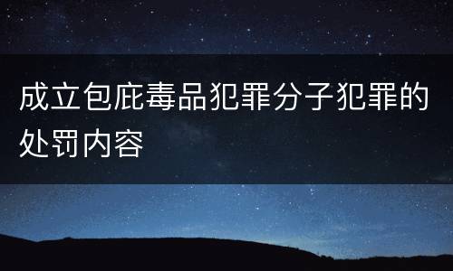 成立包庇毒品犯罪分子犯罪的处罚内容