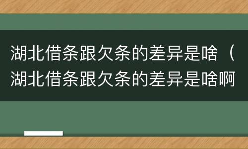 湖北借条跟欠条的差异是啥（湖北借条跟欠条的差异是啥啊）