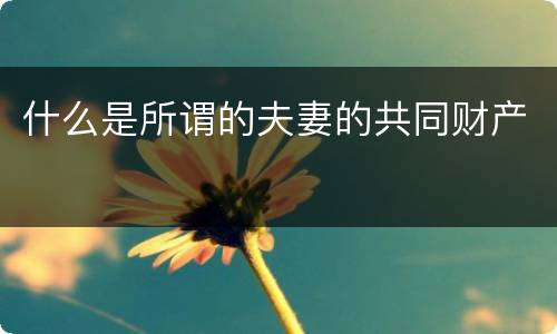 什么是所谓的夫妻的共同财产