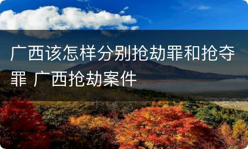 广西该怎样分别抢劫罪和抢夺罪 广西抢劫案件